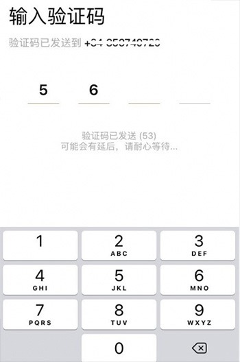 Nhập mã OTP Taobao trên điện thoại